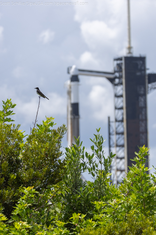 SpaceX Polaris Dawn & Crew Dragon Monday August 26th 2024 B-1083-4