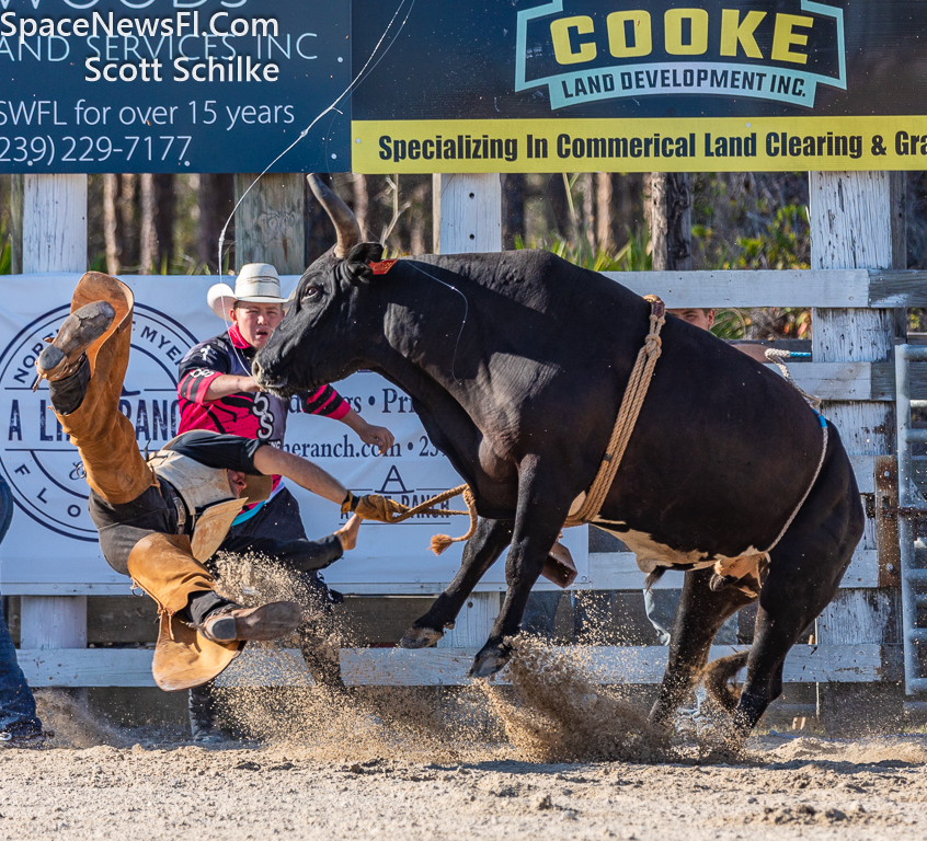 Lee County Florida Rodeo Action