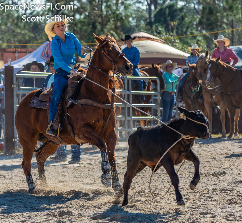 Lee County Florida Rodeo Action